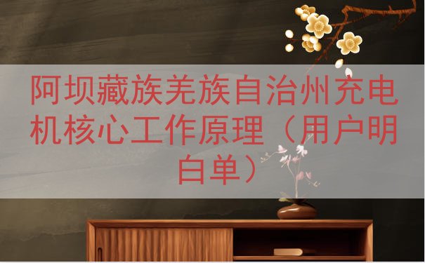 阿坝藏族羌族自治州充电机核心工作原理（用户明白单）